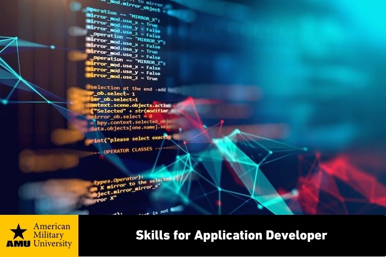 skills for application developer