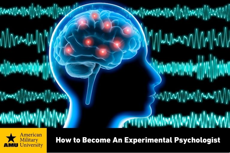 how to become an experimental psychologist