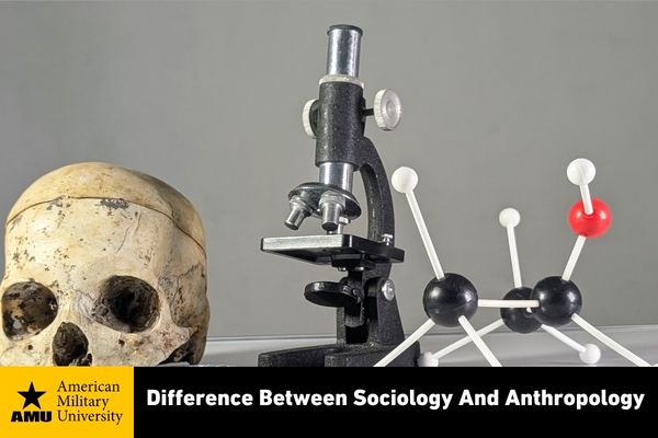 difference between sociology and anthropology