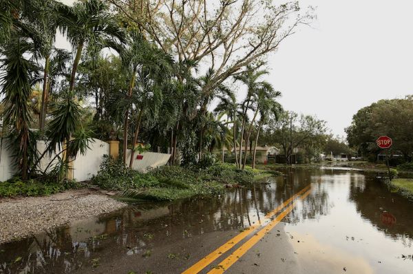 flooded street and downed trees from storm