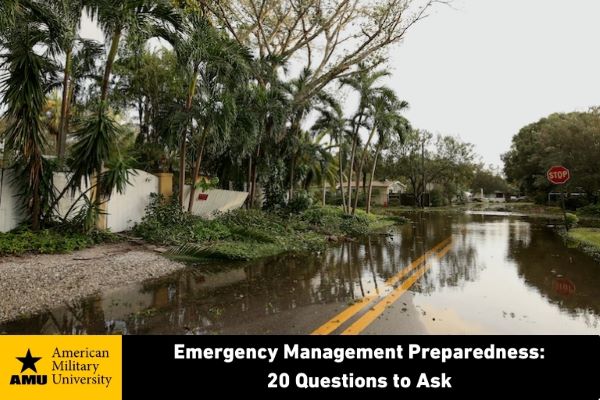 flooded street and downed trees