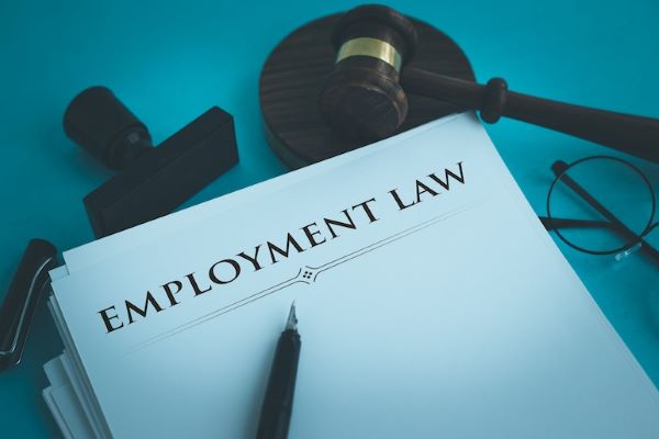 employment law written on legal document