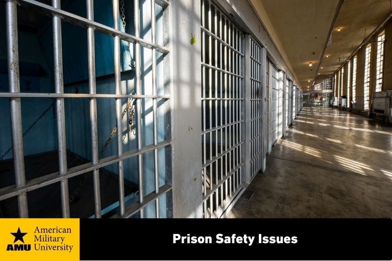 prison safety issues