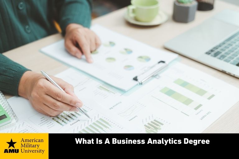 business analytics degree student reviewing data