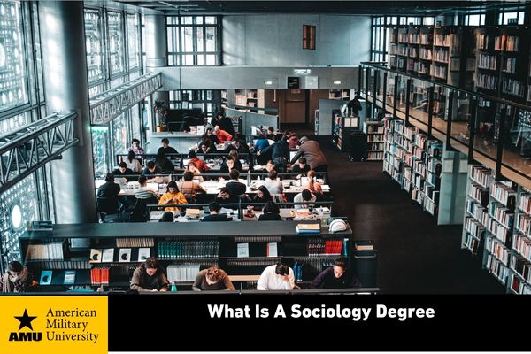what is a sociology degree