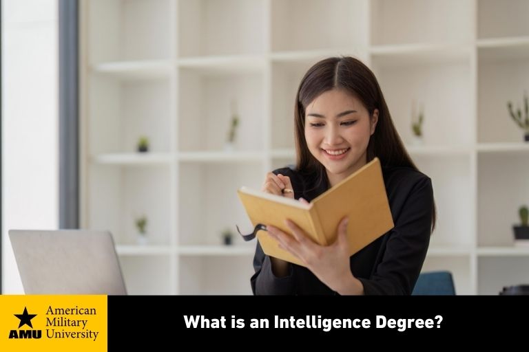intelligence degree professional writing in book