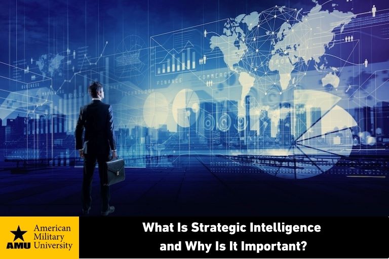 strategic intelligence professional