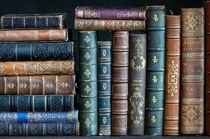 literature books on shelf