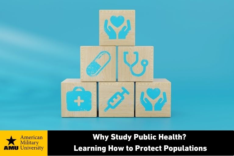 why-study-public-health public health icons on wooden blocks